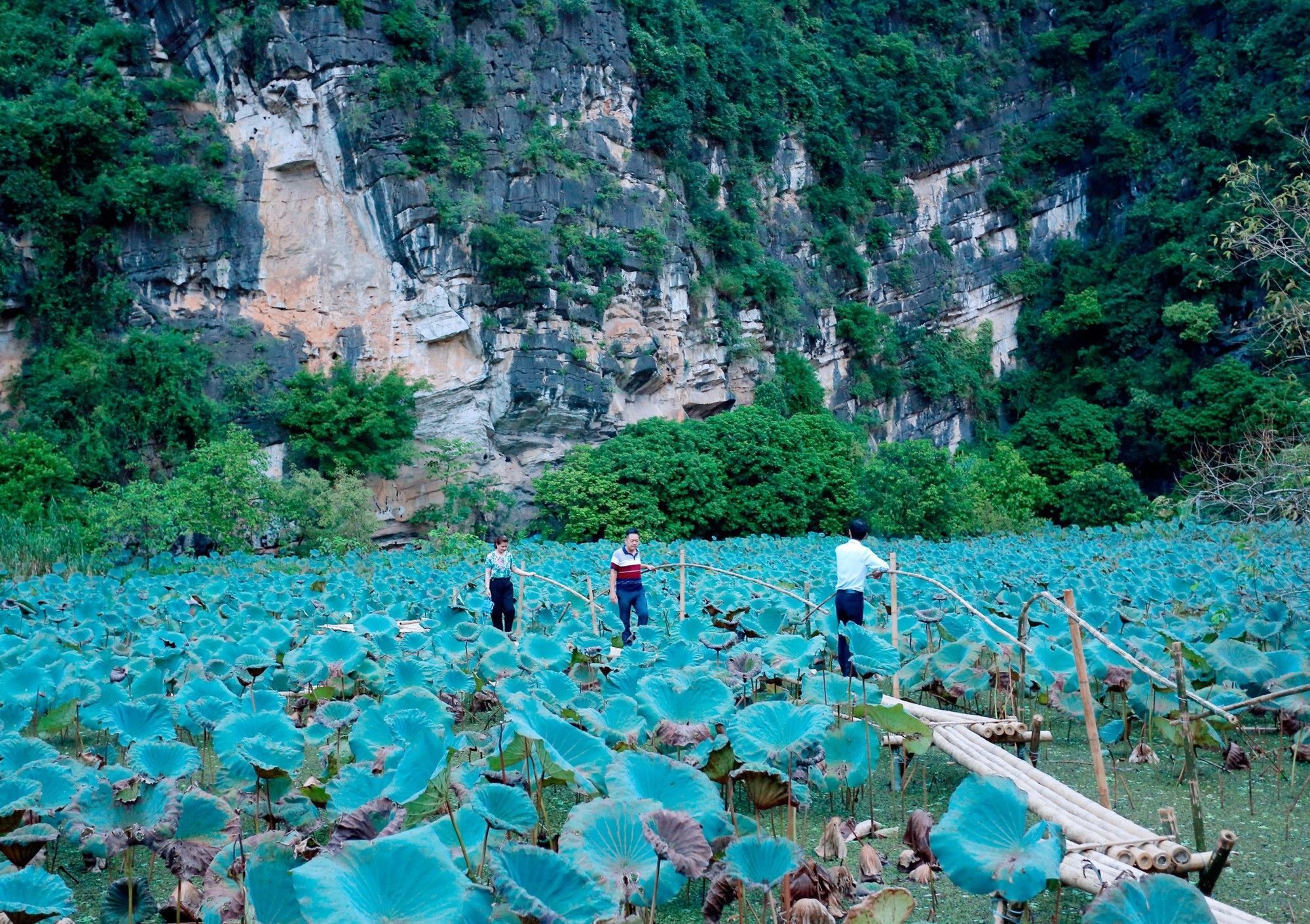 Trang An Heritage Garden Ninh Binh Eksteriør bilde